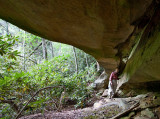 Sinking Fork Arch