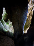 Double Top Arch