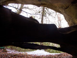 Laurel Branch Double Arch