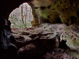 Laurel Branch Double Arch