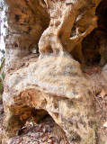 Slade Cow Cave Pillars