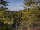 Swift Camp Creek Overlook