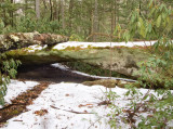 Osborne Bend Arch