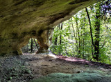 Cats Paw Arch