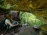 Star Spur Arch