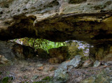 Star Spur Arch