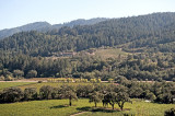 Castello Di Amorosa