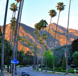 Altadena Street