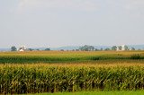 View of farmland from passenger car