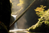 Punch Bowl Falls