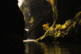 Punchbowl Falls