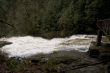 Lacamas Creek