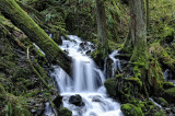 Hike to Fairy Falls