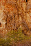 Rock Wall on Succor Creek