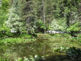 Yosemite 5-07-04 003.jpg