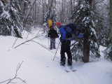 Ore Bed Creek
