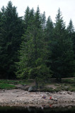 Lac Du Troites