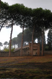 Rain at Pompeii