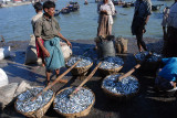 Fishs market 4