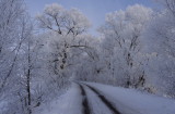 DPP_0008.jpg