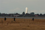 Turning torso from Falsterbo