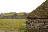 Cattle house in the background