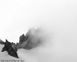 Shasta, Casaval Ridge from Avalanch Gulch, Rocks in Mist