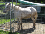 IMG_1285.JPG
