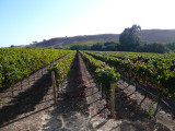 P1050076-15.jpg