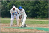 cricket_2009