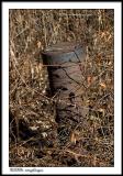 CRW_1643 pipe wf.jpg