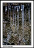 CRW_1865 icicles wf.jpg