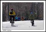 CRW_1957 central park c wf.jpg