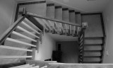 Monochrome