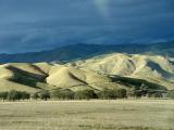 California Grass Lands