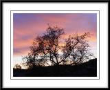 Winter Sunset