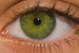 Green With Envy