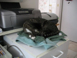 Protected Printer Covers