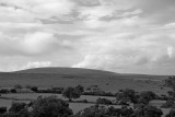 Moor above Gidleigh (7/14/10)