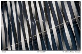 20090425163835.jpg