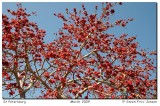 20090307215005.jpg