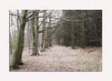 walking.