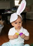 Easter Bunny Ears