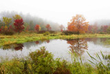 Fall Reflections in Fog and Flood, East Kingston, NH