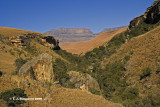 The Drakensberg Highveld