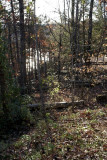 cumberland_falls_kentucky