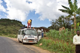 On the road north to Bamenda