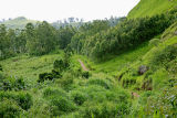 Path near Mbingo