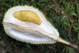 Unknown 1.jpg