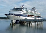 Celebrity Century